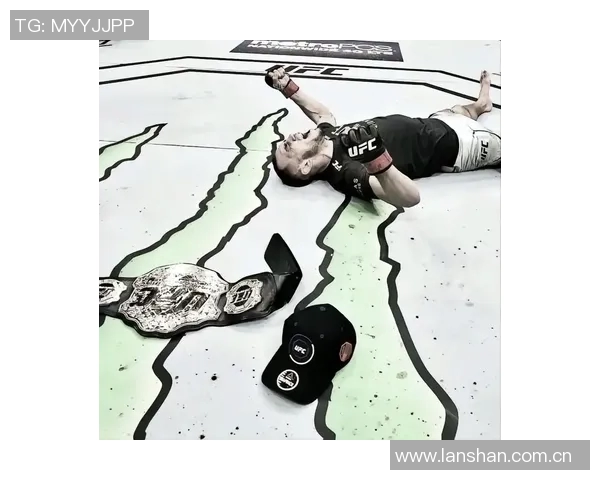 MMA格斗之夜：KO瞬间集锦